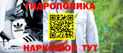 СК Будённовск